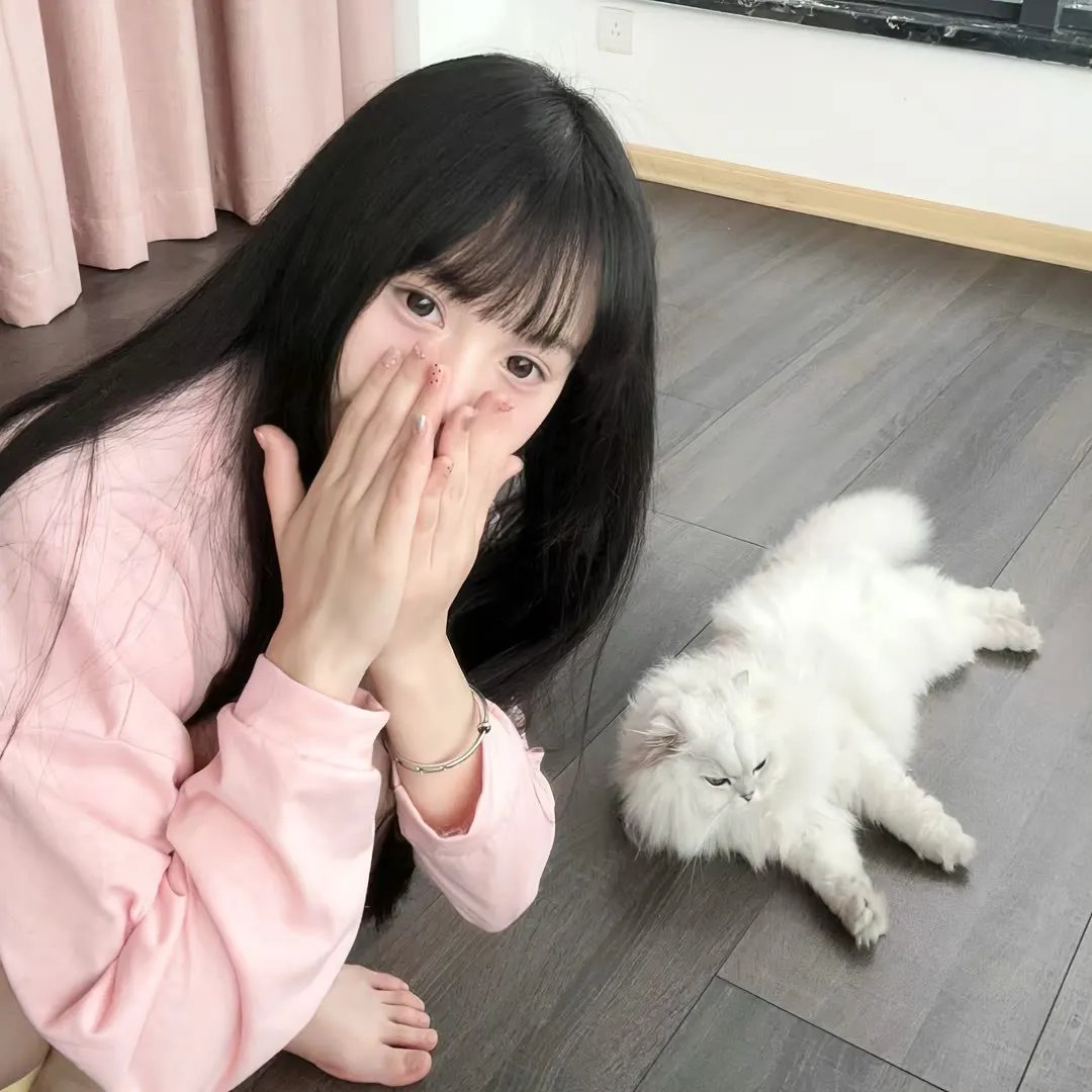 双面追缉